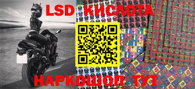 дмт Новозыбков