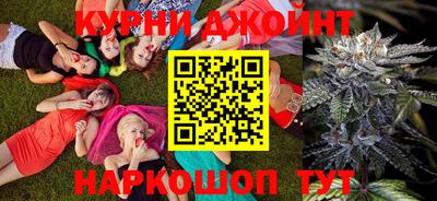 гашик Новокубанск