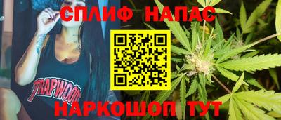 гашик Новокубанск