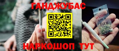 гашик Новокубанск