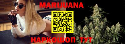 дмт Новозыбков