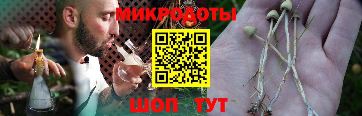 Солнечногорск  Псилоцибиновые грибы GOLDEN TEACHER  Вход с VPN  Галлюциногенные грибы GOLDEN TEACHER 