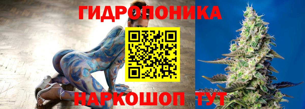 Конопля сатива Солнечногорск